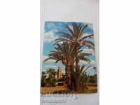 Postcard Marrakech Vue sur la Koutoubia 1982