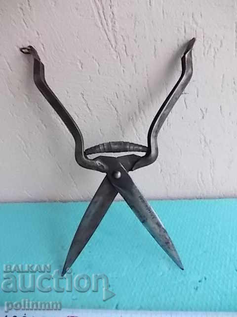 Delivery of Old Greek scissors Delivery of Old Greek scissors