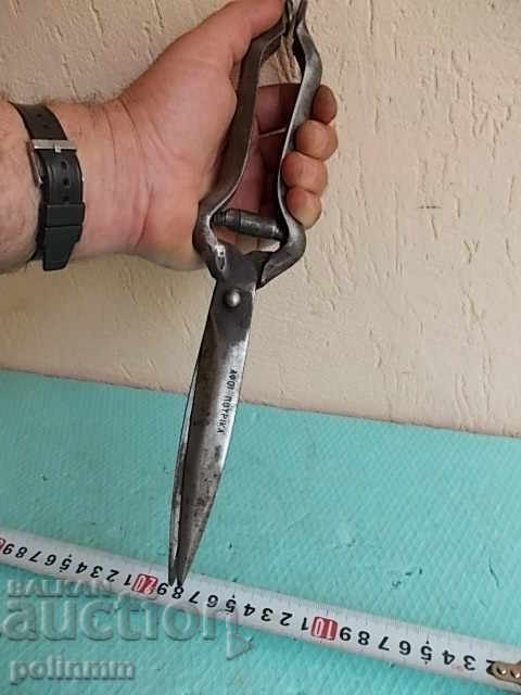 Old Greek scissors - 5 Old Greek scissors - 5