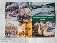 Котел природонаучен музей в кадри  1985  К 214