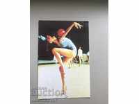 25129 Bulgaria calendar rhythmic gymnastics 1985th TOTO
