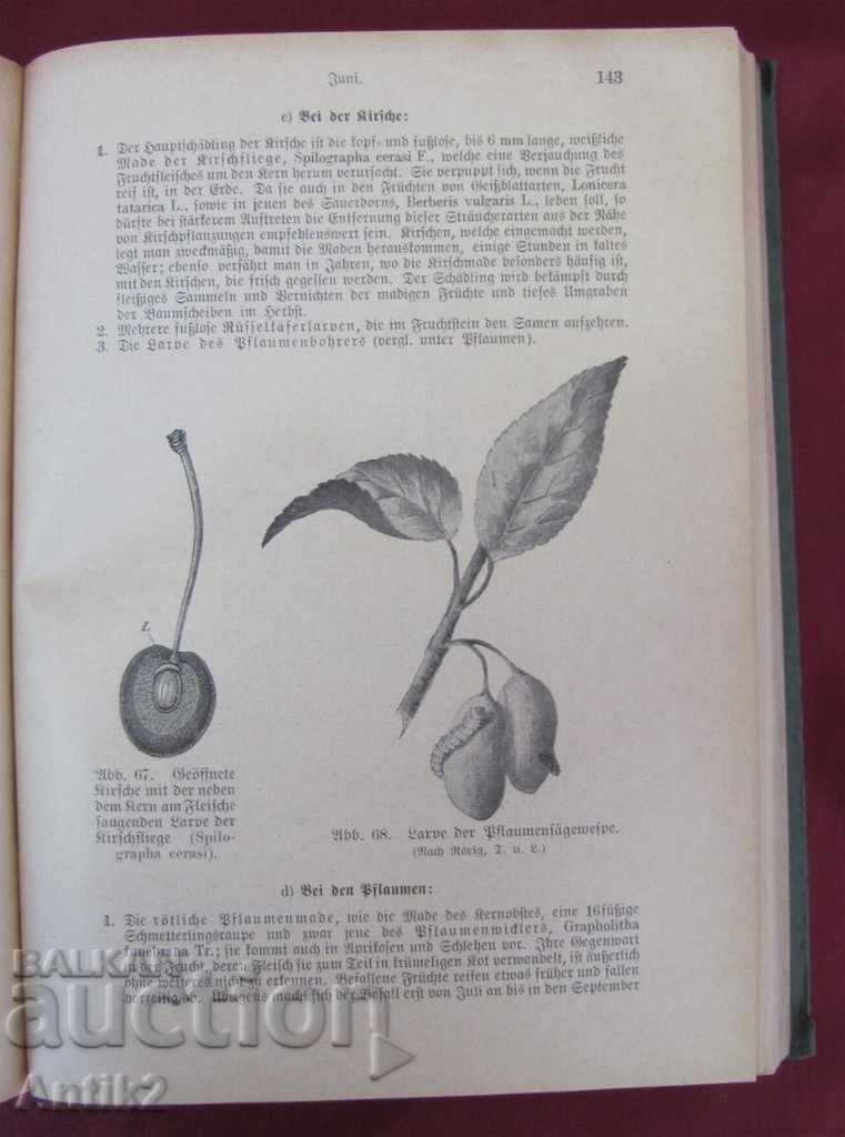 1926 An Antique Book Crop Production Germany - 6 1926 An Antique Book Crop Production Germany - 6
