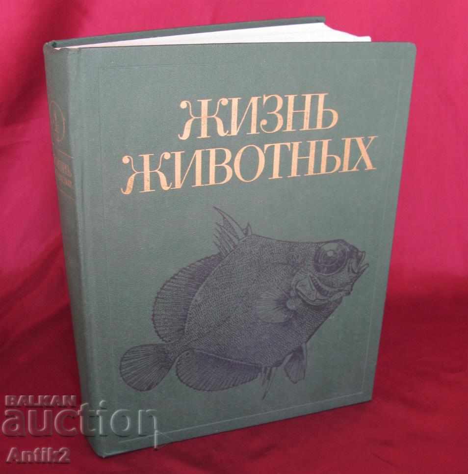 1983 Βιβλίο ζώων και ψαριών Ρωσία
