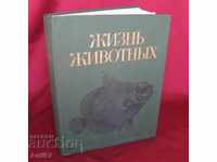 1983 год. Книга за животните и рибите Русия