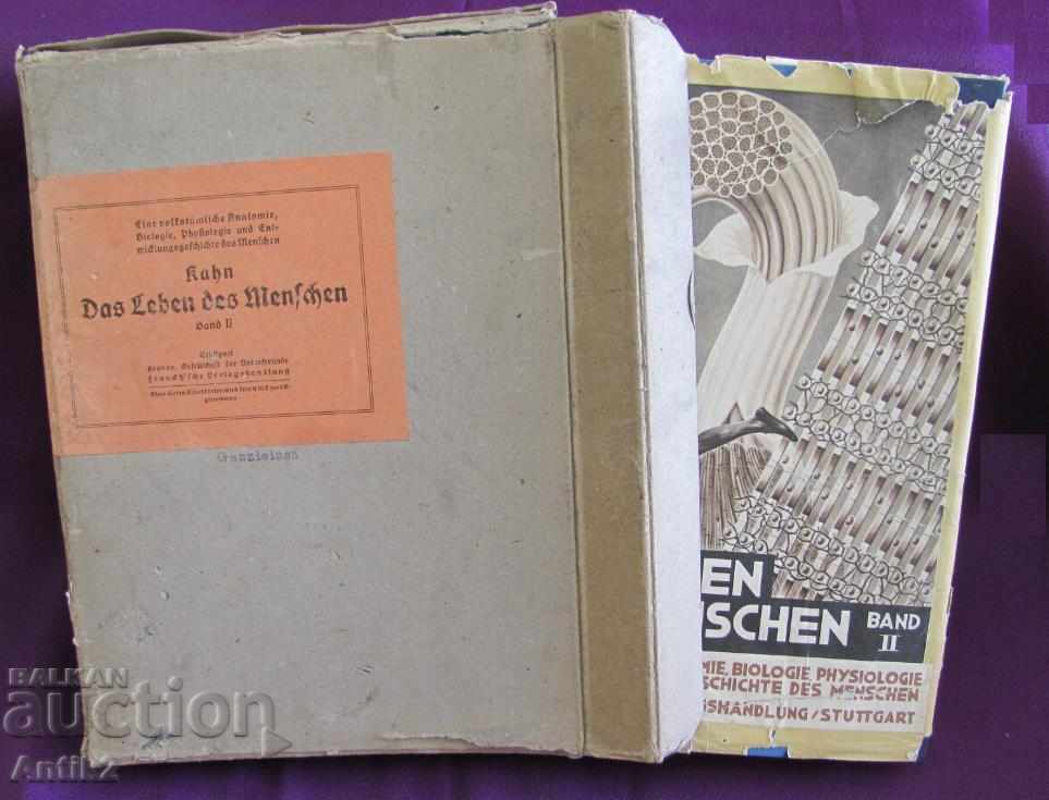 Auction  1927God Antique Book Anatomy, Biology, Physiology