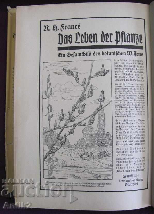 1927God Antique Book Anatomy, Biology, Physiology - 6