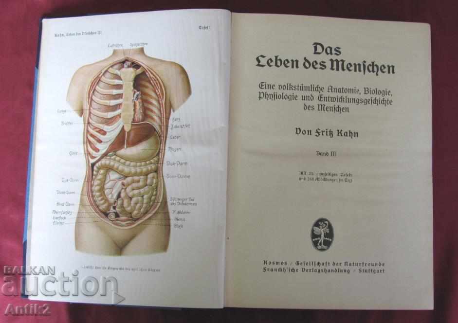 Delivery of 1927God Antique Book Anatomy, Biology, Physiology Delivery of 1927God Antique Book Anatomy, Biology, Physiology