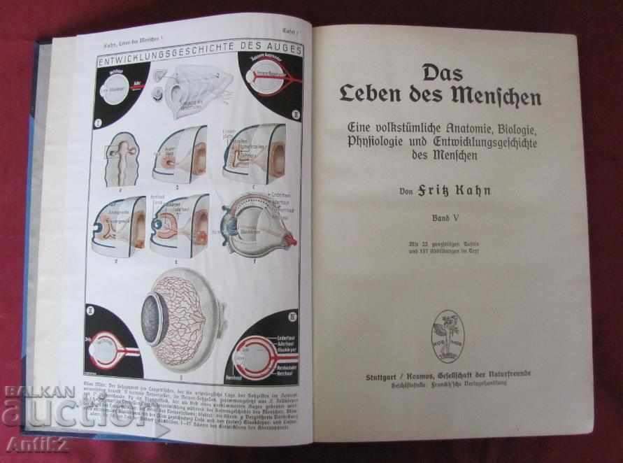Auction 1931.Stara Antique Book Anatomy, Biology, Physiology Auction 1931.Stara Antique Book Anatomy, Biology, Physiology