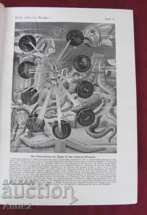 Delivery of 1931.Stara Antique Book Anatomy, Biology, Physiology Delivery of 1931.Stara Antique Book Anatomy, Biology, Physiology