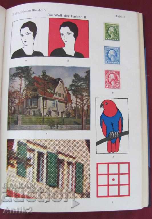 1931.Stara Antique Book Anatomy, Biology, Physiology - 7 1931.Stara Antique Book Anatomy, Biology, Physiology - 7