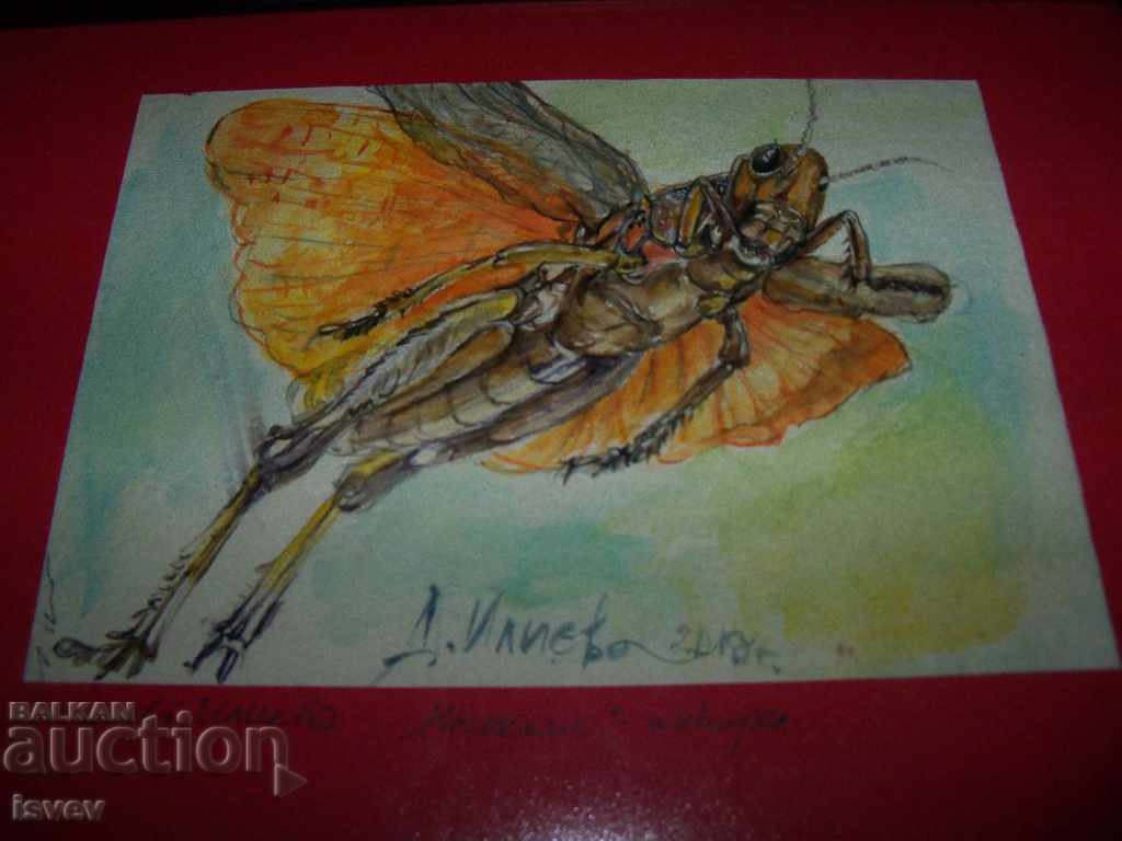 "Insect" 2 painting of the artist Desislava Ilieva with price 55.00 BGN | € 28.12 "Insect" 2 painting of the artist Desislava Ilieva with price 55.00 BGN | € 28.12