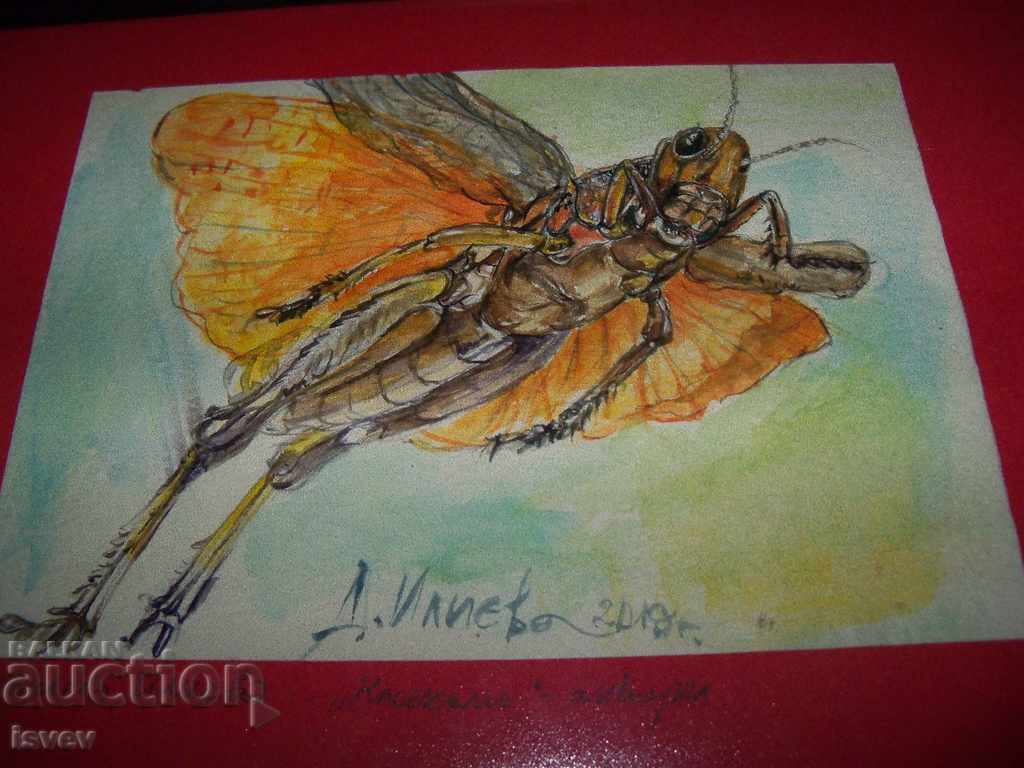 Delivery of "Insect" 2 painting of the artist Desislava Ilieva Delivery of "Insect" 2 painting of the artist Desislava Ilieva