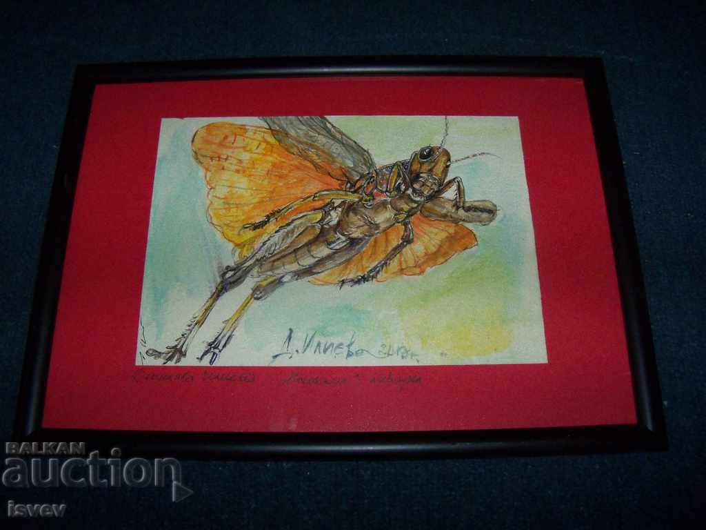 "Insect" 2 painting of the artist Desislava Ilieva - 6 "Insect" 2 painting of the artist Desislava Ilieva - 6