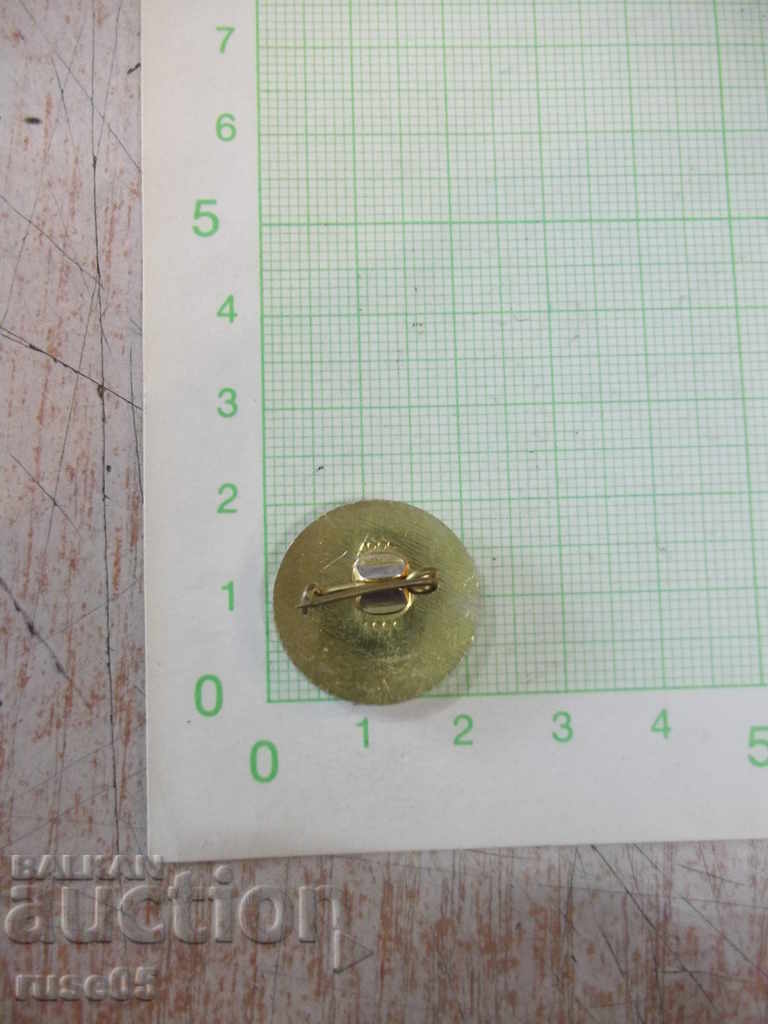 International Youth Relay Badge * Memory * with price 2.00 BGN | € 1.02 International Youth Relay Badge * Memory * with price 2.00 BGN | € 1.02