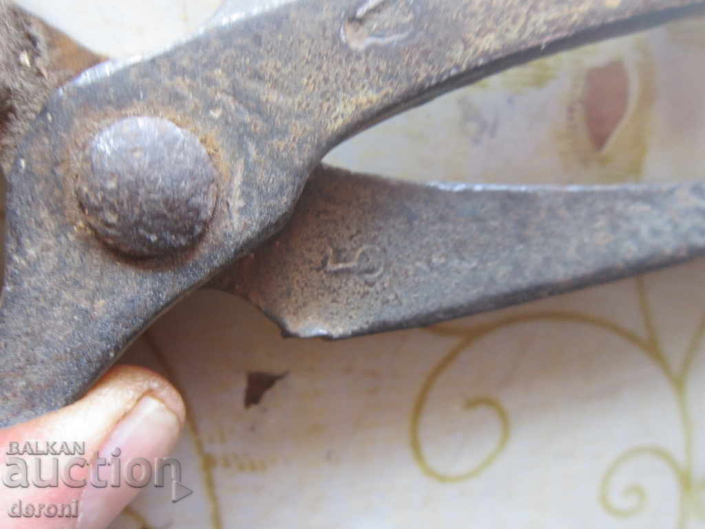 Auction  Old German small tongs with serrated