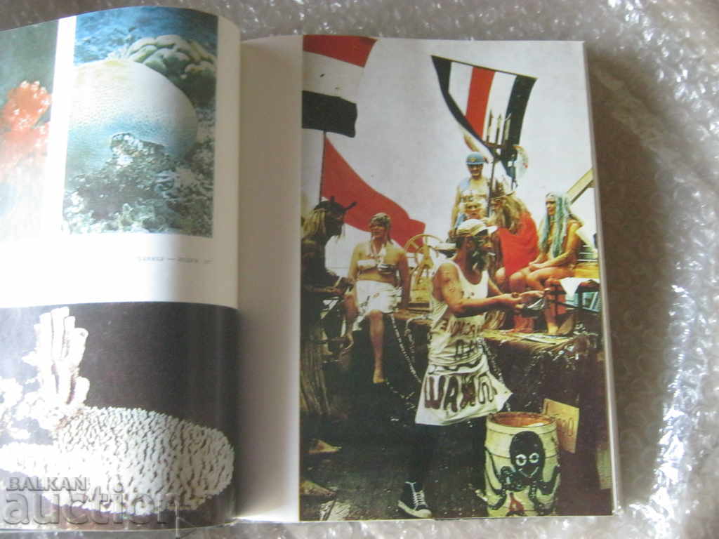 Auction  Dimitar Klisurov. Between Cancer and Capricorn