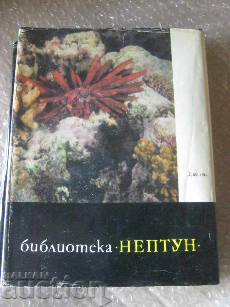 Dimitar Klisurov. Between Cancer and Capricorn - 7