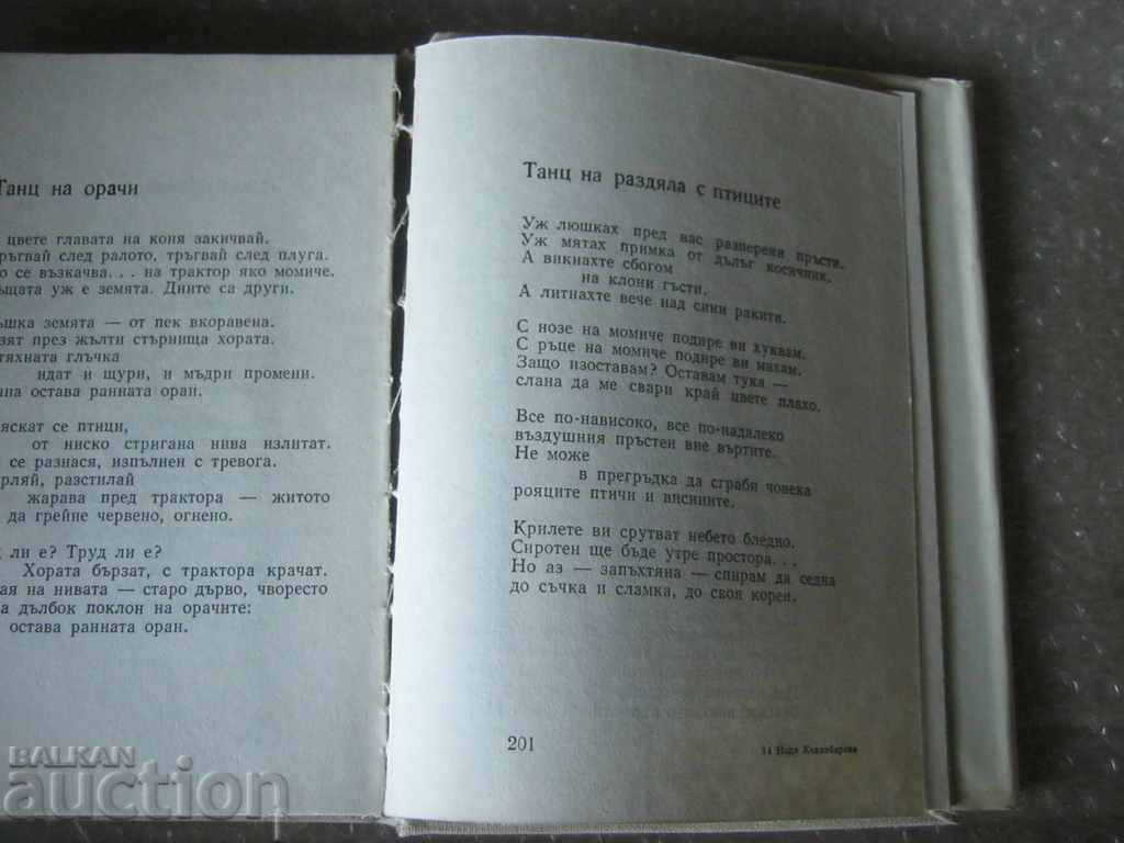 Nadya Kehlibarova. Flower on the Hill - 5