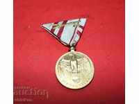 PSV Austria Medal 5