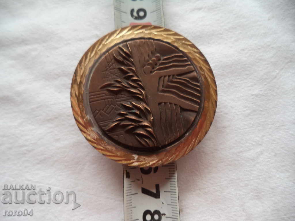 MEDAL MEDAL COMMITTEE FOR YOUTH AND SPORTS - 1991 - 5