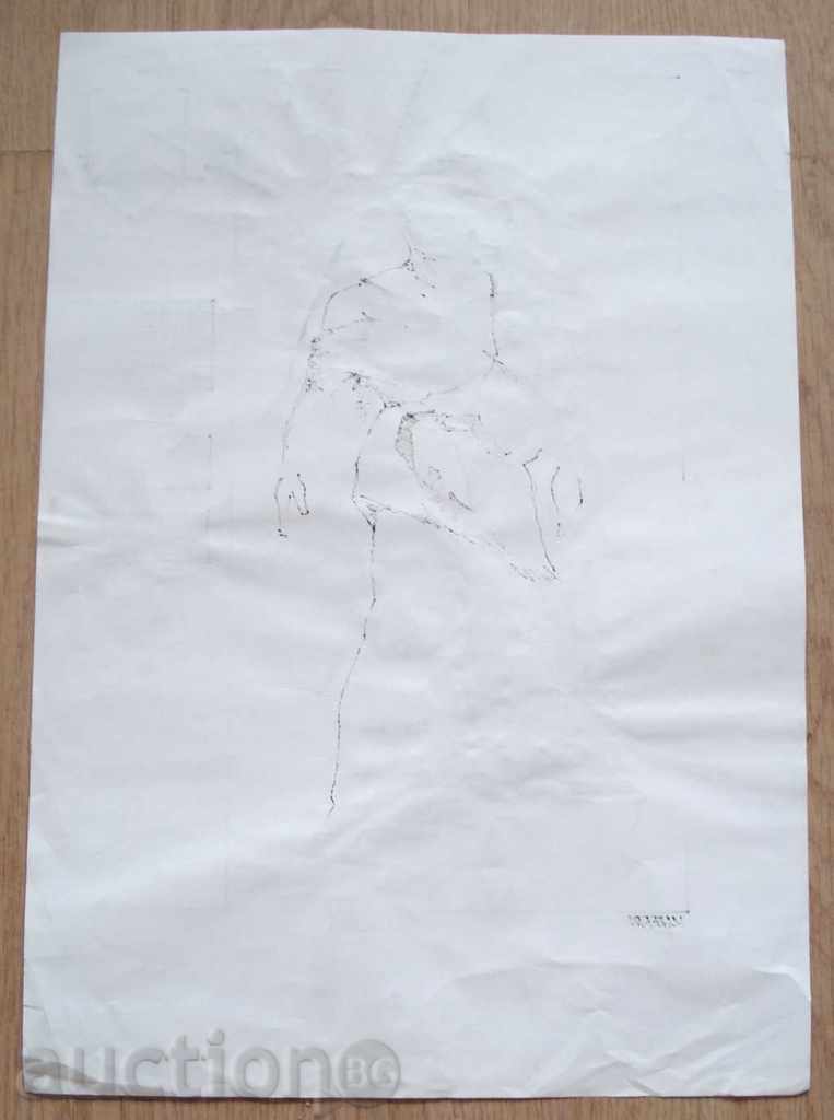 804 Unknown author coat of arms Knight play Macbeth P.42 / 30см - 5