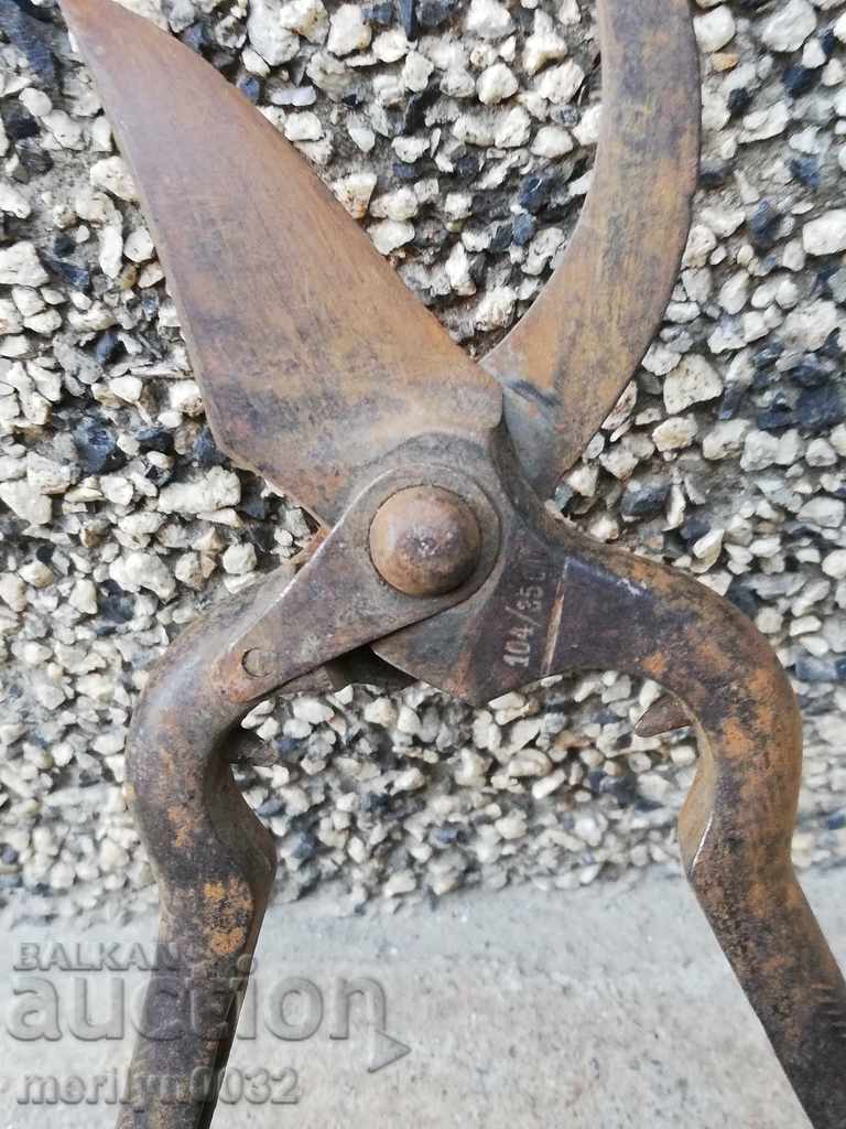Delivery of Old viticulture scissors, wrought iron Delivery of Old viticulture scissors, wrought iron