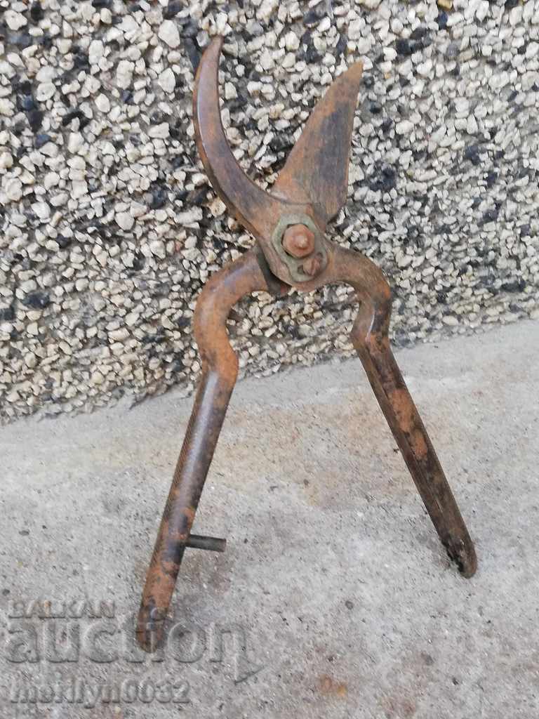 Old viticulture scissors, wrought iron - 5 Old viticulture scissors, wrought iron - 5
