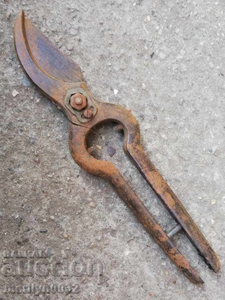 Old viticulture scissors, wrought iron - 7 Old viticulture scissors, wrought iron - 7