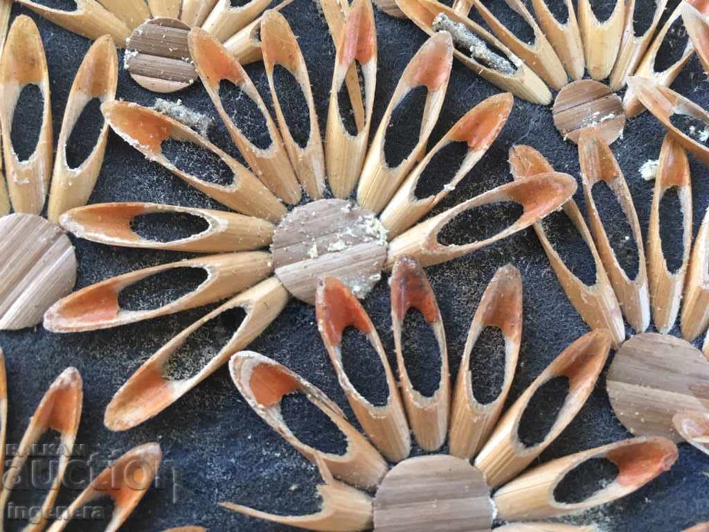 Auction PANO RELEASE FROM PHASE PLANTING PICTURE Auction PANO RELEASE FROM PHASE PLANTING PICTURE