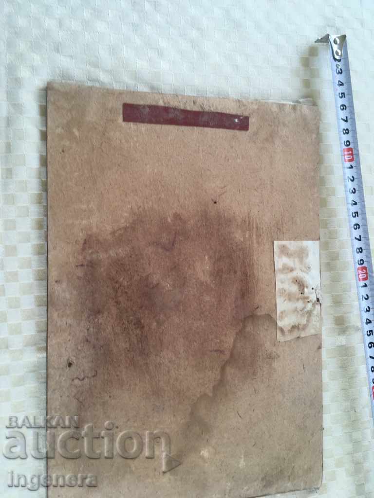 PANO RELEASE FROM PHASE PLANTING PICTURE - 5 PANO RELEASE FROM PHASE PLANTING PICTURE - 5