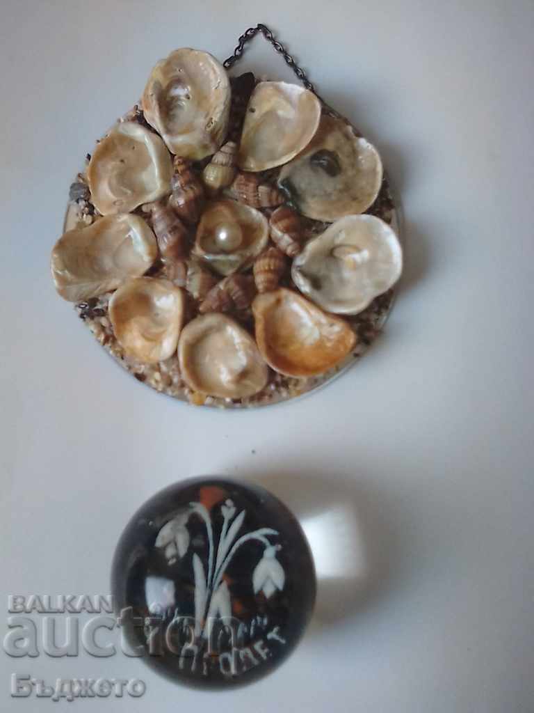 A palette of seashells, snails and ruby. with price € 5.11 | 9.99 BGN A palette of seashells, snails and ruby. with price € 5.11 | 9.99 BGN