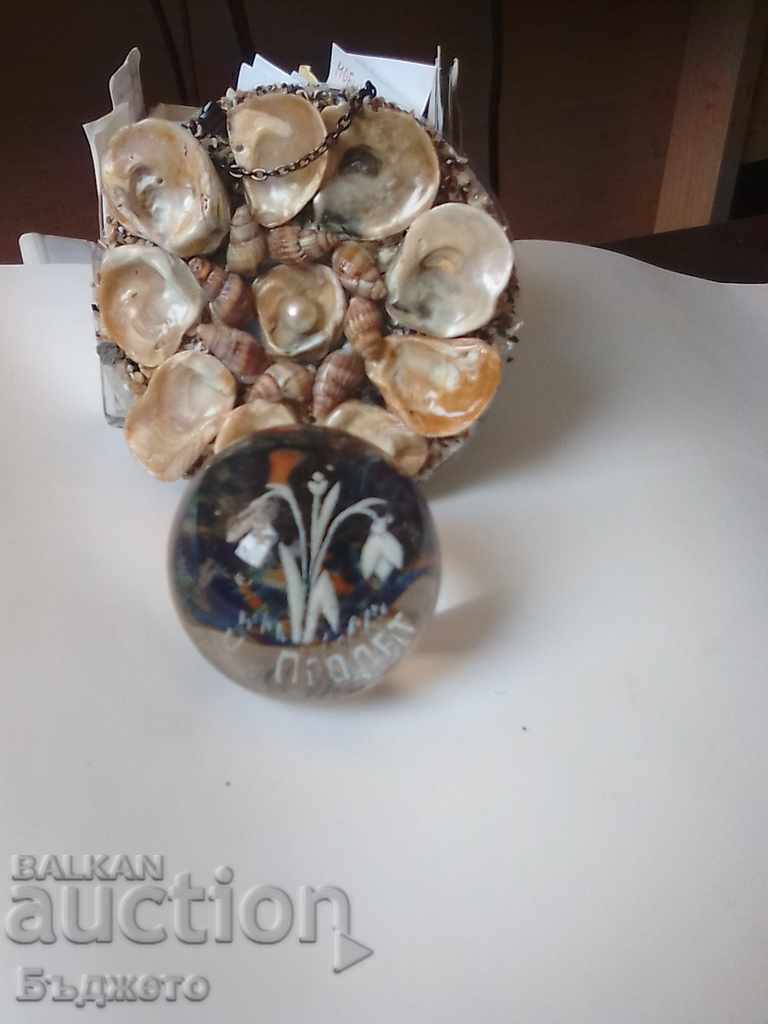 A palette of seashells, snails and ruby. A palette of seashells, snails and ruby.