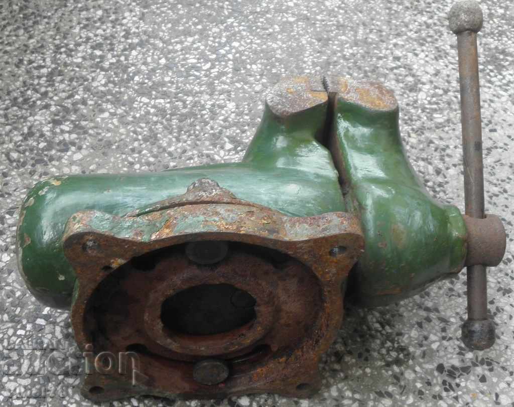 Delivery of LARGE VICE-VERY PRESERVED