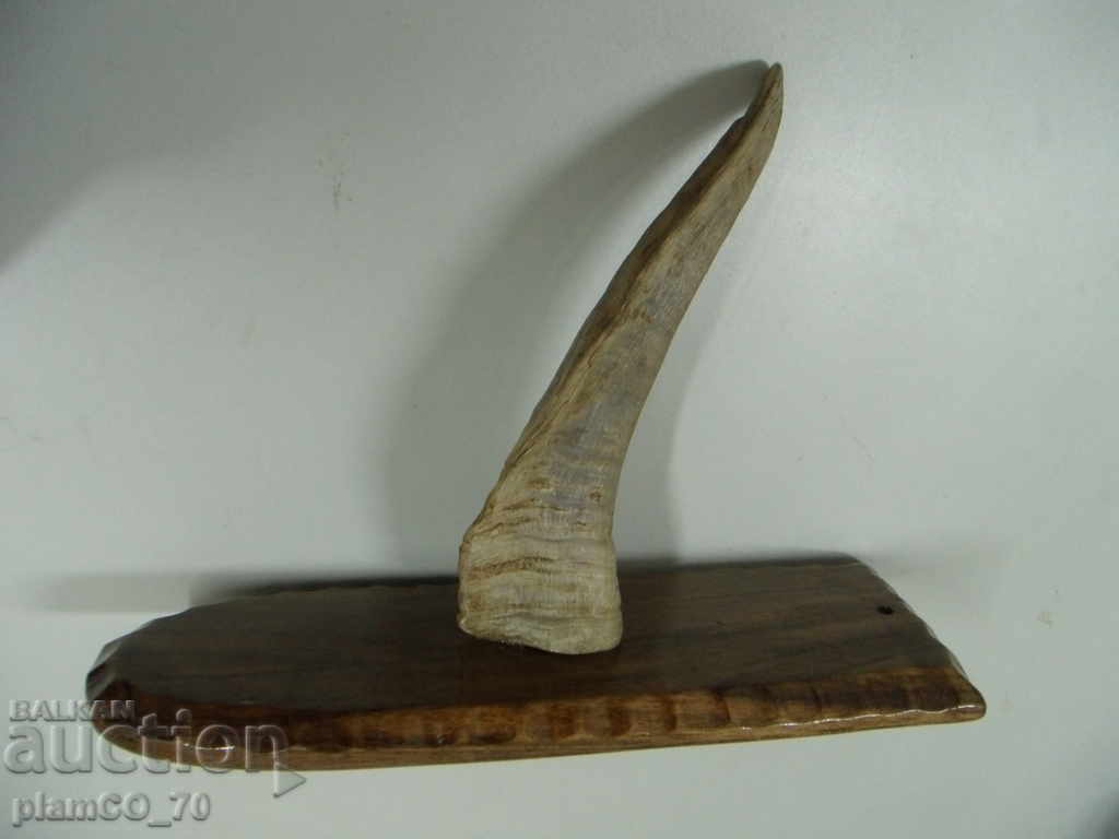 No. 1960 vintage wall decor panel - horn with price € 9.90 | 19.36 BGN