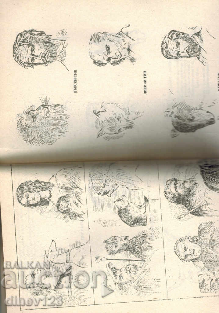 Delivery of HIROMANIA Delivery of HIROMANIA