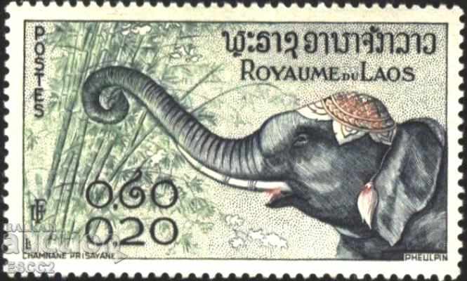 Ο καθαρός ελέφαντας της πανίδας 1958 από το Λάος