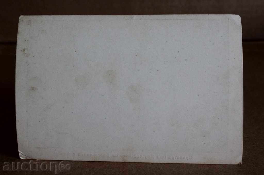 COMPANY OF THE BULGARIAN BIRDS ORCHESTRA NON-CAREER CARDS with price 25.00 BGN | € 12.78 COMPANY OF THE BULGARIAN BIRDS ORCHESTRA NON-CAREER CARDS with price 25.00 BGN | € 12.78