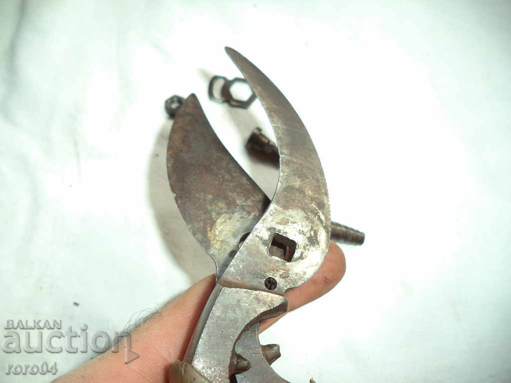 STARA LOSAR BRASS - ACTUALLY - 7 STARA LOSAR BRASS - ACTUALLY - 7