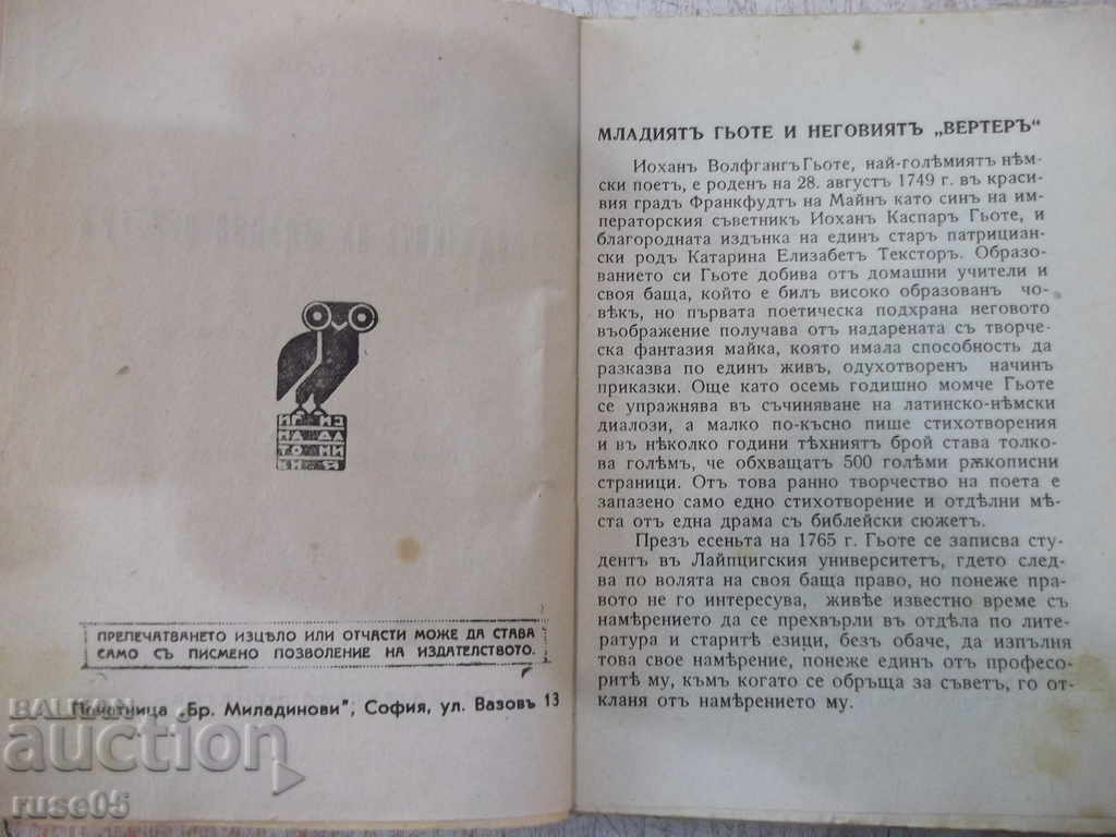 Auction The Book of All - * Stardom of the Young Vertero-Goethe * "- 168pp Auction The Book of All - * Stardom of the Young Vertero-Goethe * "- 168pp