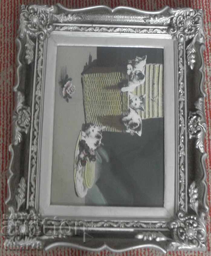 PICTURE-PRINT - 5 PICTURE-PRINT - 5