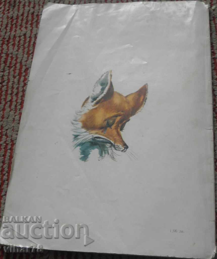 Delivery of THE FINDINGS OF THE PINOCIO Delivery of THE FINDINGS OF THE PINOCIO