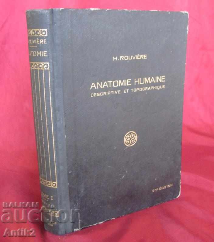 1943. Medical Book Human Anatomy 1 Tom France