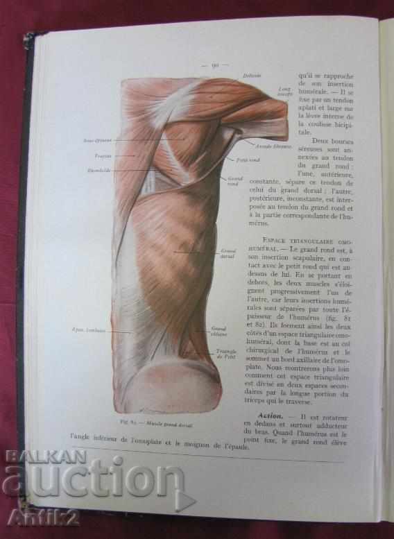 Delivery of 1943. Medical Book Human Anatomy Tom 2 France Delivery of 1943. Medical Book Human Anatomy Tom 2 France
