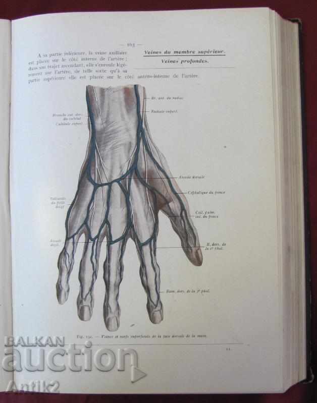 1943. Medical Book Human Anatomy Tom 2 France - 6 1943. Medical Book Human Anatomy Tom 2 France - 6
