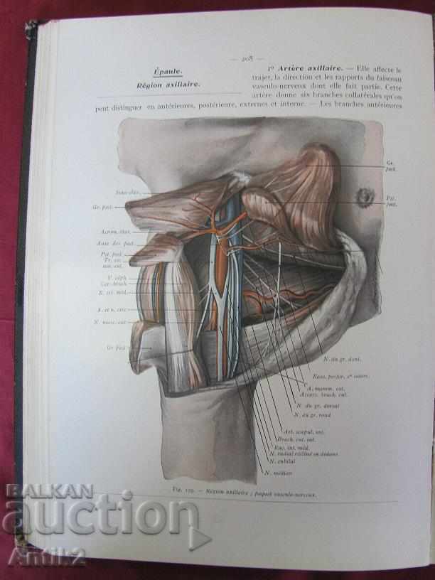 1943. Medical Book Human Anatomy Tom 2 France - 7 1943. Medical Book Human Anatomy Tom 2 France - 7