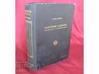 1943god. Cartea medicală Anatomia umană Tom 2 Franța