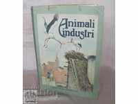 Old Children's Book Antonio Vallardi Italy