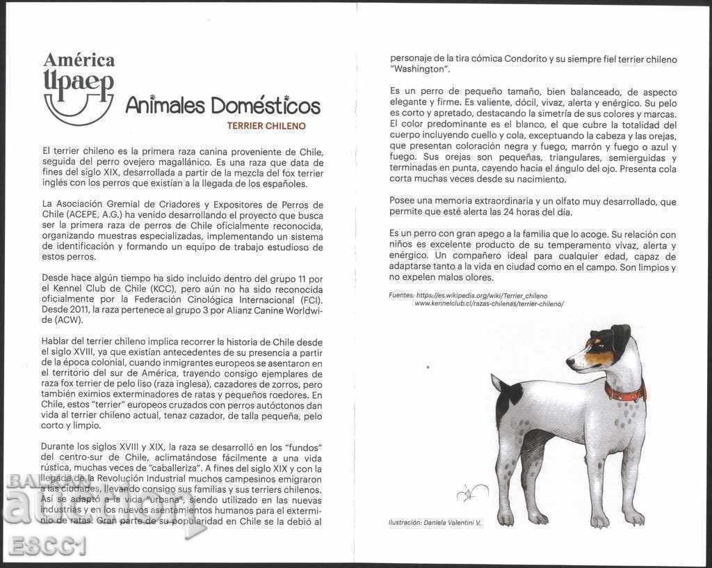 Licitație Broșură (fluturaș) Brand America UPAEP Dog 2018 din Chile