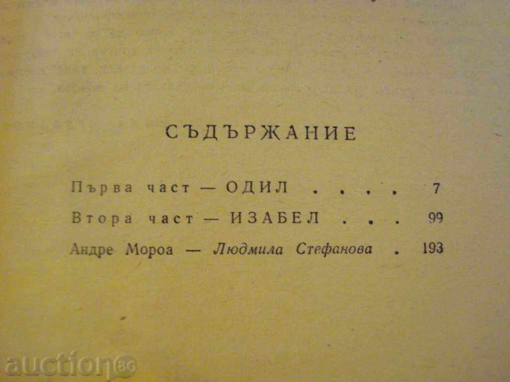 Book "Climate - Andrea Morea" - 200 pages - 5 Book "Climate - Andrea Morea" - 200 pages - 5