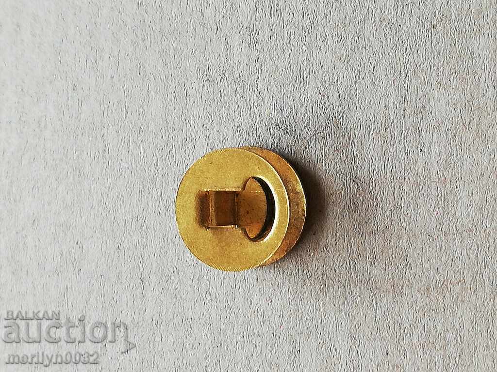 Enamelled badge badge with enamel PHILIPS with price 124.00 BGN | € 63.40 Enamelled badge badge with enamel PHILIPS with price 124.00 BGN | € 63.40